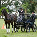 Hospedeiro Interagro/Interagro Lusitanos