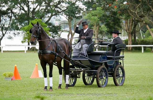 Hospedeiro Interagro/Interagro Lusitanos