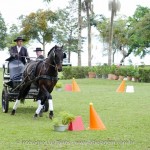 Hospedeiro Interagro/Interagro Lusitanos