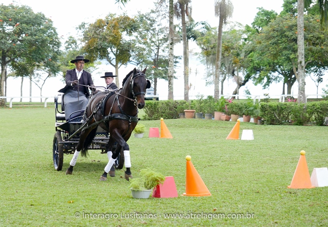 Hospedeiro Interagro/Interagro Lusitanos