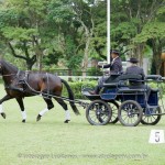 Hospedeiro Interagro/Interagro Lusitanos