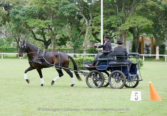Hospedeiro Interagro/Interagro Lusitanos