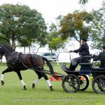 Hospedeiro Interagro/Interagro Lusitanos