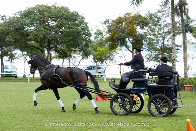 Hospedeiro Interagro/Interagro Lusitanos