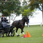 Hospedeiro Interagro/Interagro Lusitanos
