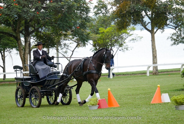 Hospedeiro Interagro/Interagro Lusitanos