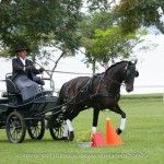 Hospedeiro Interagro/Interagro Lusitanos