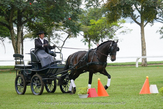 Hospedeiro Interagro/Interagro Lusitanos