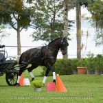 Hospedeiro Interagro/Interagro Lusitanos