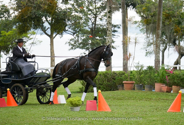 Hospedeiro Interagro/Interagro Lusitanos