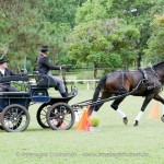 Hospedeiro Interagro/Interagro Lusitanos