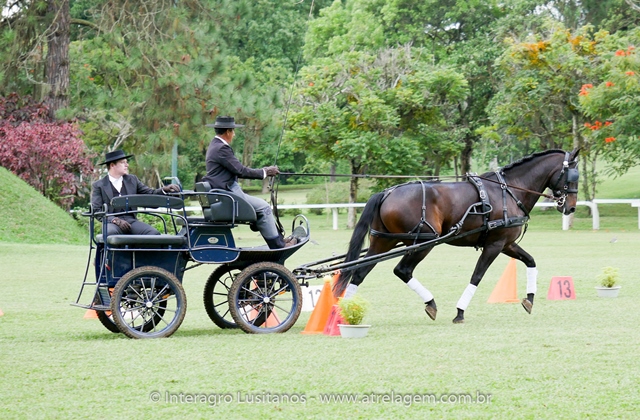 Hospedeiro Interagro/Interagro Lusitanos