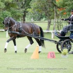Hospedeiro Interagro/Interagro Lusitanos
