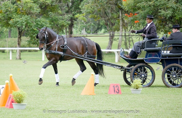 Hospedeiro Interagro/Interagro Lusitanos