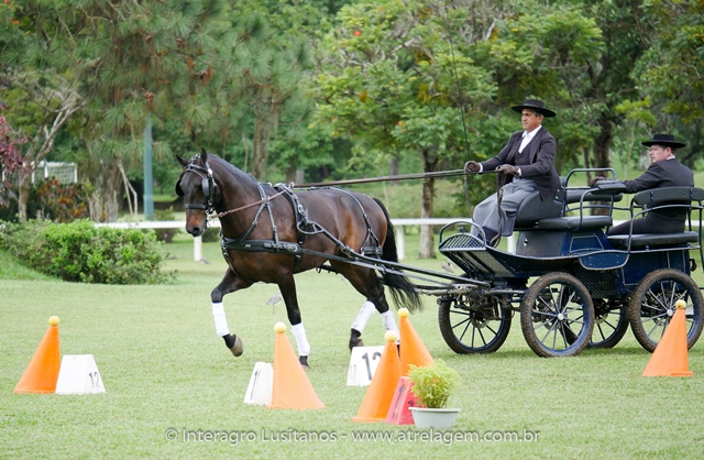 Hospedeiro Interagro/Interagro Lusitanos