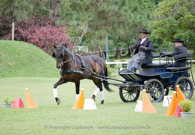 Hospedeiro Interagro/Interagro Lusitanos