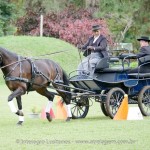 Hospedeiro Interagro/Interagro Lusitanos