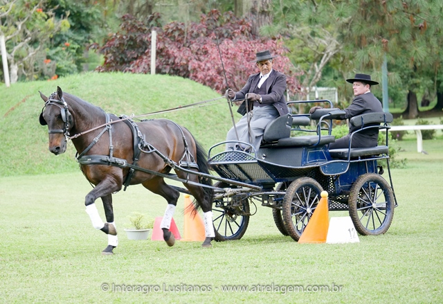 Hospedeiro Interagro/Interagro Lusitanos