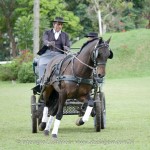 Hospedeiro Interagro/Interagro Lusitanos