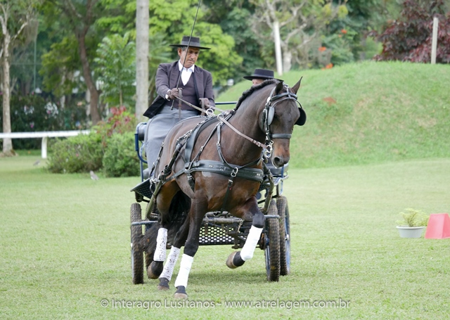 Hospedeiro Interagro/Interagro Lusitanos
