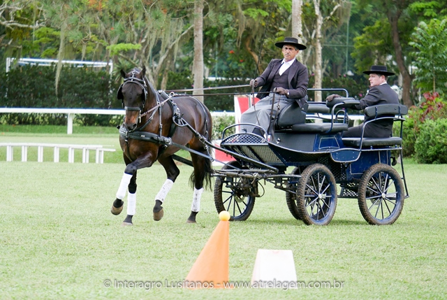 Hospedeiro Interagro/Interagro Lusitanos