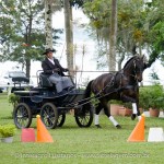 Hospedeiro Interagro/Interagro Lusitanos