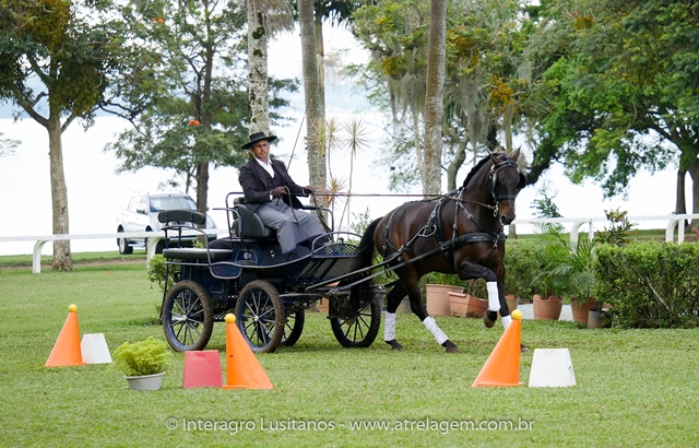 Hospedeiro Interagro/Interagro Lusitanos