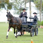 Hospedeiro Interagro/Interagro Lusitanos