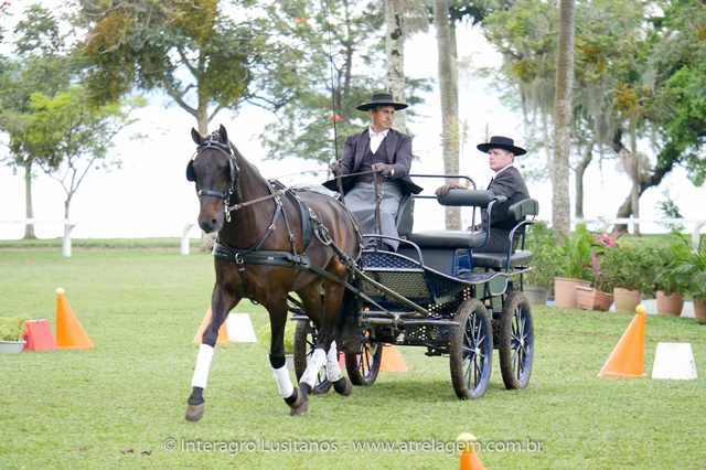 Hospedeiro Interagro/Interagro Lusitanos