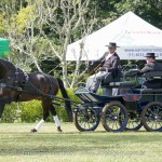 Hospedeiro Interagro/Interagro Lusitanos