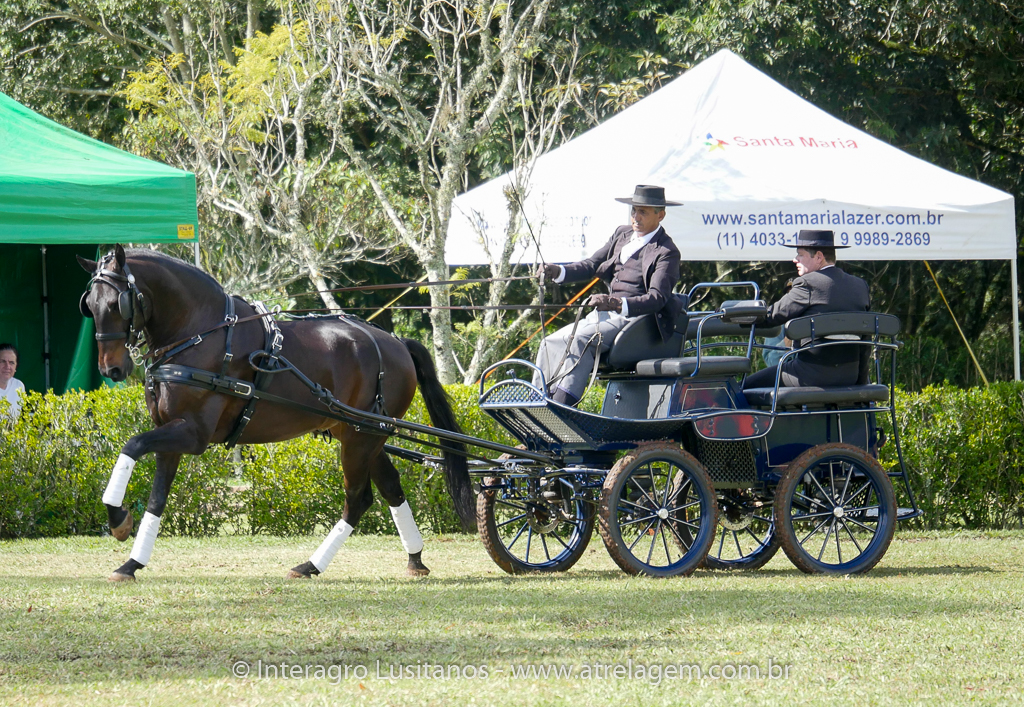 Hospedeiro Interagro/Interagro Lusitanos