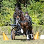 Hospedeiro Interagro/Interagro Lusitanos