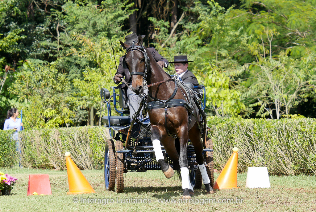 Hospedeiro Interagro/Interagro Lusitanos