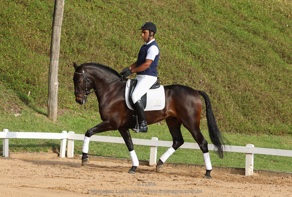 Hospedeiro Interagro/TUPA