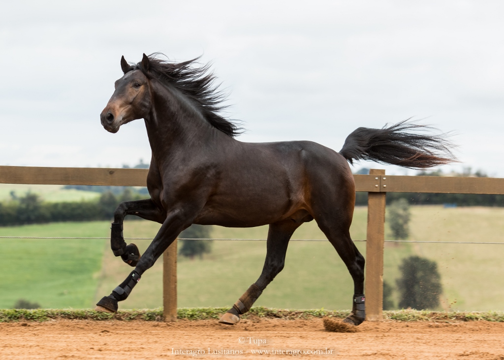 Hospedeiro Interagro/TUPA