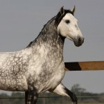 Xibano Interagro/TUPA