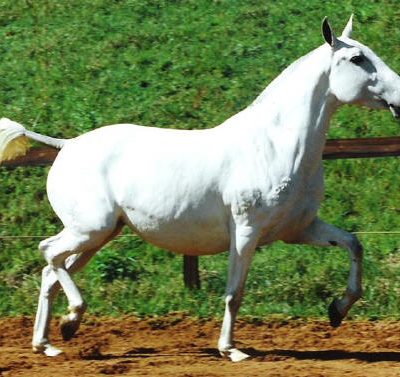 Malhada Interagro