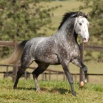 Xenócrates Interagro/Julia Wenstcher