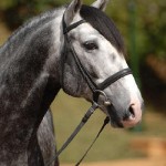 Xenócrates Interagro/Julia Wenstcher