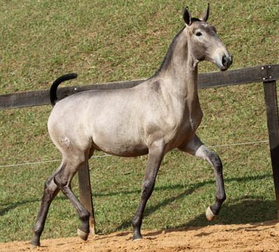 Lot 06a - Honesto Interagro