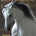 Noblíssimo Interagro is the Cover of 2008 IALHA Stallion Directory