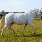 Cybele Interagro/Martina Brandes