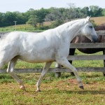 Daysy Interagro/Martina Brandes