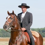 Divisadero Interagro, chestnut Lusitano stallion