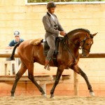 Empreiteiro Interagro/Interagro Lusitanos