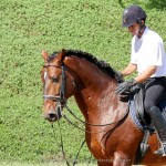 Edmar Brito & Empreiteiro Interagro/Interagro Lusitanos