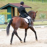 Empreiteiro Interagro/Interagro Lusitanos