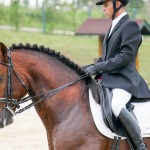 Empreiteiro Interagro/Interagro Lusitanos