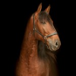 Empreiteiro Interagro/Luis Ruas