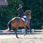 Série Forte I Profissional Edmar Brito & Empreiteiro Interagro (66,757%)